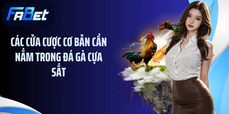 Các cửa cược cơ bản cần nắm trong đá gà cựa sắt