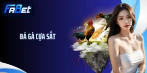 Đá Gà Cựa Sắt - Sân Chơi Chọi Kê Đỉnh Cao Chỉ Có Tại Fabet