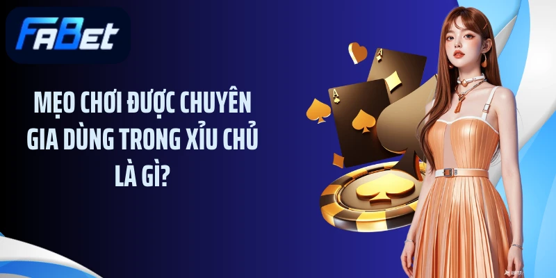 Mẹo chơi được chuyên gia dùng trong xỉu chủ là gì?