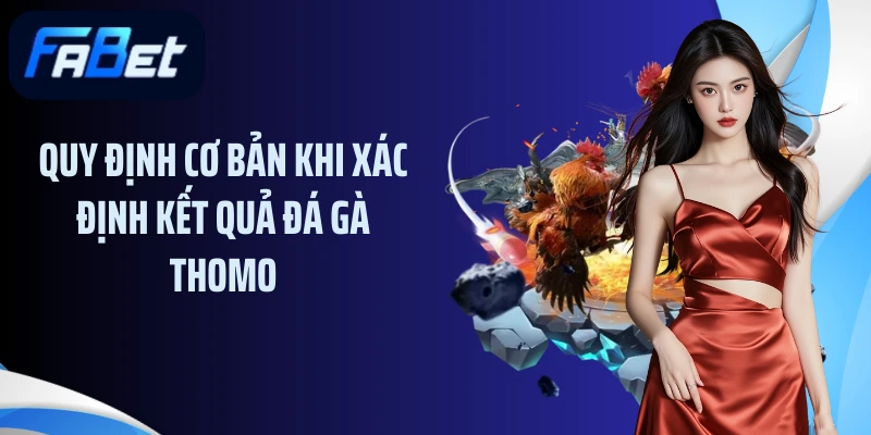 Quy định cơ bản khi xác định kết quả đá gà thomo