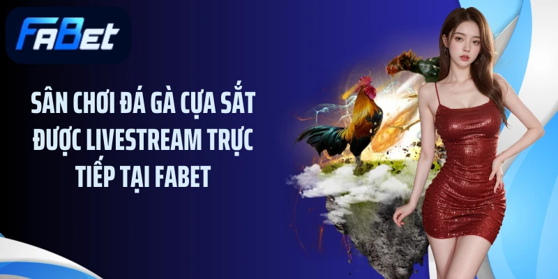 Sân chơi đá gà cựa sắt được livestream trực tiếp tại Fabet