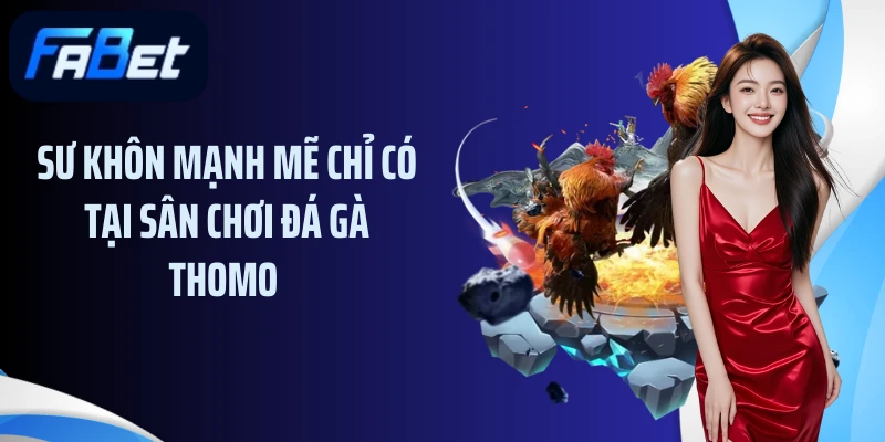 Sư khôn mạnh mẽ chỉ có tại sân chơi đá gà thomo 