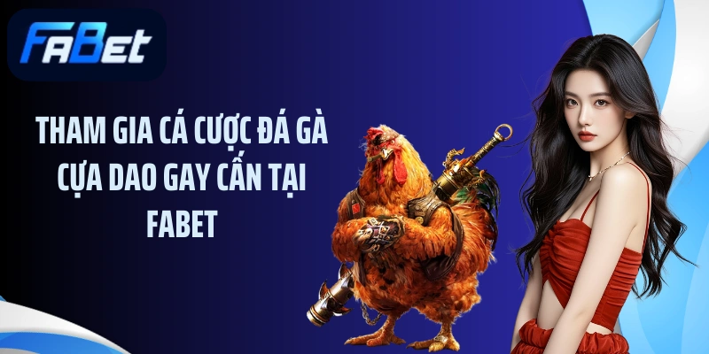 Tham gia cá cược đá gà cựa dao gay cấn tại FABET