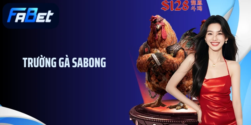 Trường Gà Đá bóng - Địa Chỉ Cung Cấp Vô Số Trận Đấu Đỉnh Cao