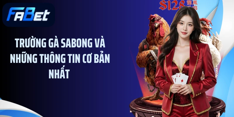 Trường gà Sabong và những thông tin cơ bản nhất